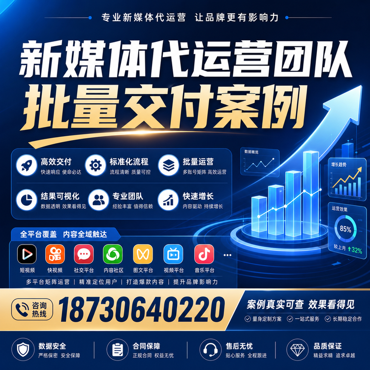 那曲代运营公司多客户账号批量高效交付案例